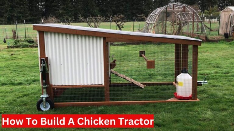 how to build a chicken tractor